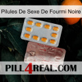 Black Ant Sex Pills new13
